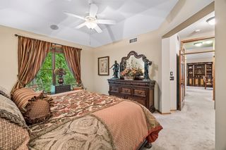 Tray Vault Ceiling, Ceiling Fan, Large Window with Wooded Views