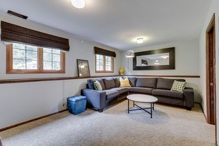 Lower level family room