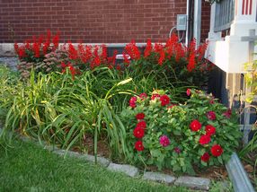 Enjoy your own Gardens within the Heart of the City! 