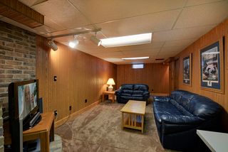 Inviting lower level family room with cozy fireplace