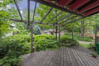 The Back Yard is TOTALLY private! 