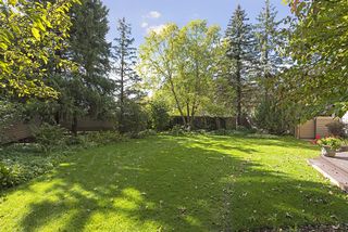 Plenty of space for lawn games!