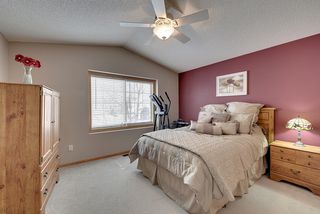 Master bedroom - spacious with abundant natural light