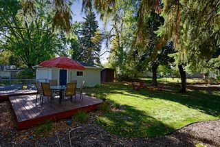 Wonderful level and fenced yard with with room for fire pit - shed behind garage