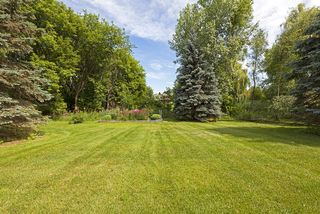 Large - Oversized Dellwood lot - a raised garden located near the rear of the property.