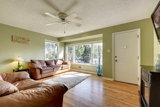 A lot of natural light and original hardwood floors