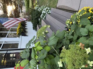 Photo Provided by Agent 