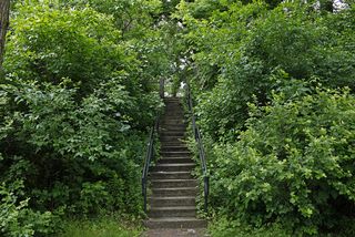 Enjoy the many trails that lead to the Light Rail! 