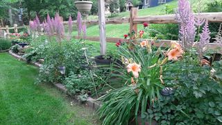 Photo Provided by Seller