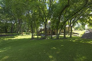 Back yard is well manicured 