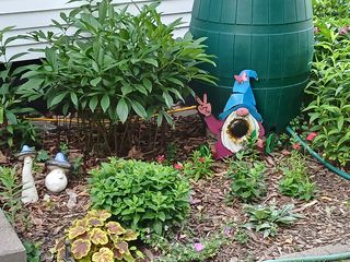 Photo Provided by Agent