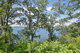 View from Deck