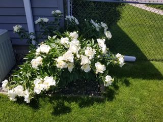 Photo Provided by Agent