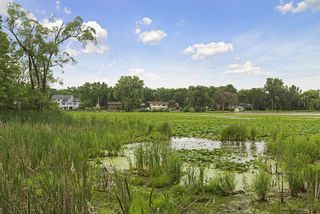 View of Lake Windsor from the backyard.