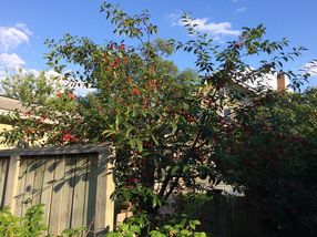 Photo provided by seller.