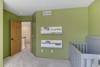 Paneled doors