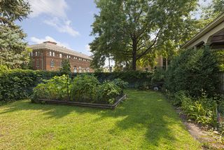 Large double lot!