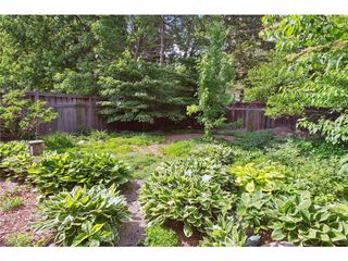 Image Provided by Seller