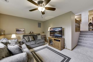 Lower level living room with views of the back yard, lots of natural light