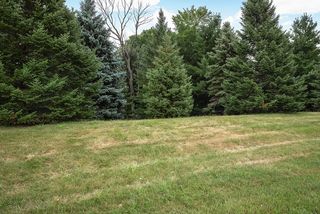Out the front is privacy - green space and trees - they make for quiet neighbors!