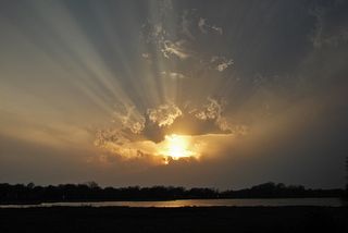 Photo provided by seller