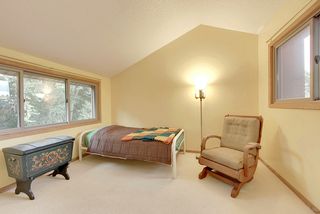 Bedroom with View of the Tree Tops!