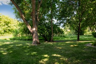 Mature treed lot