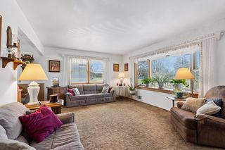 Indoor Plants love the Natural Sunlight