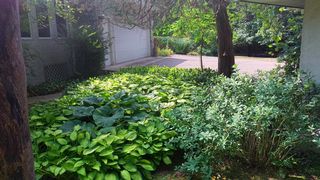 Photo provided by agent