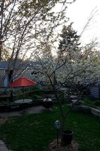 Photo provided by seller