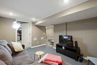 Lower level family room