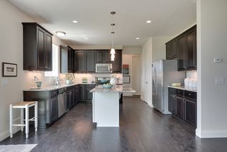 Laundry, powder room, and mud room beyond the kitchen - 3942 Campello Curve