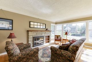 Light filled living room