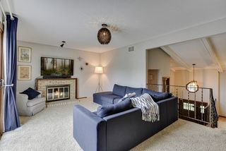 Wood burning fireplace