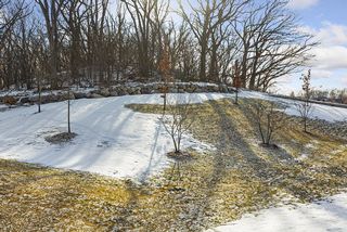 Open Space with Trees