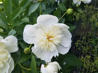 Photo Provided by Agent