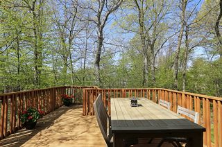 Wooded tranquil setting