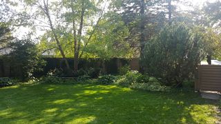 Photo provided by seller