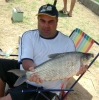 Avatar de faria2803