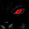 Avatar de Gato da sort