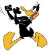Avatar de patolino JJJ