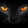Avatar de D4rkCat