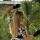 Avatar de anninha
