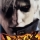Avatar de Devil May C