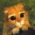 Avatar de denisonjon