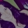 Avatar de Vali
