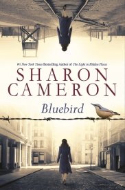 Bluebird