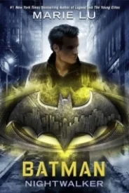 Batman: Nightwalker (DC Icons #2)