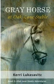Gray Horse at Oak Lane Stable