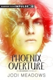 Phoenix Overture (Newsoul #2.5)